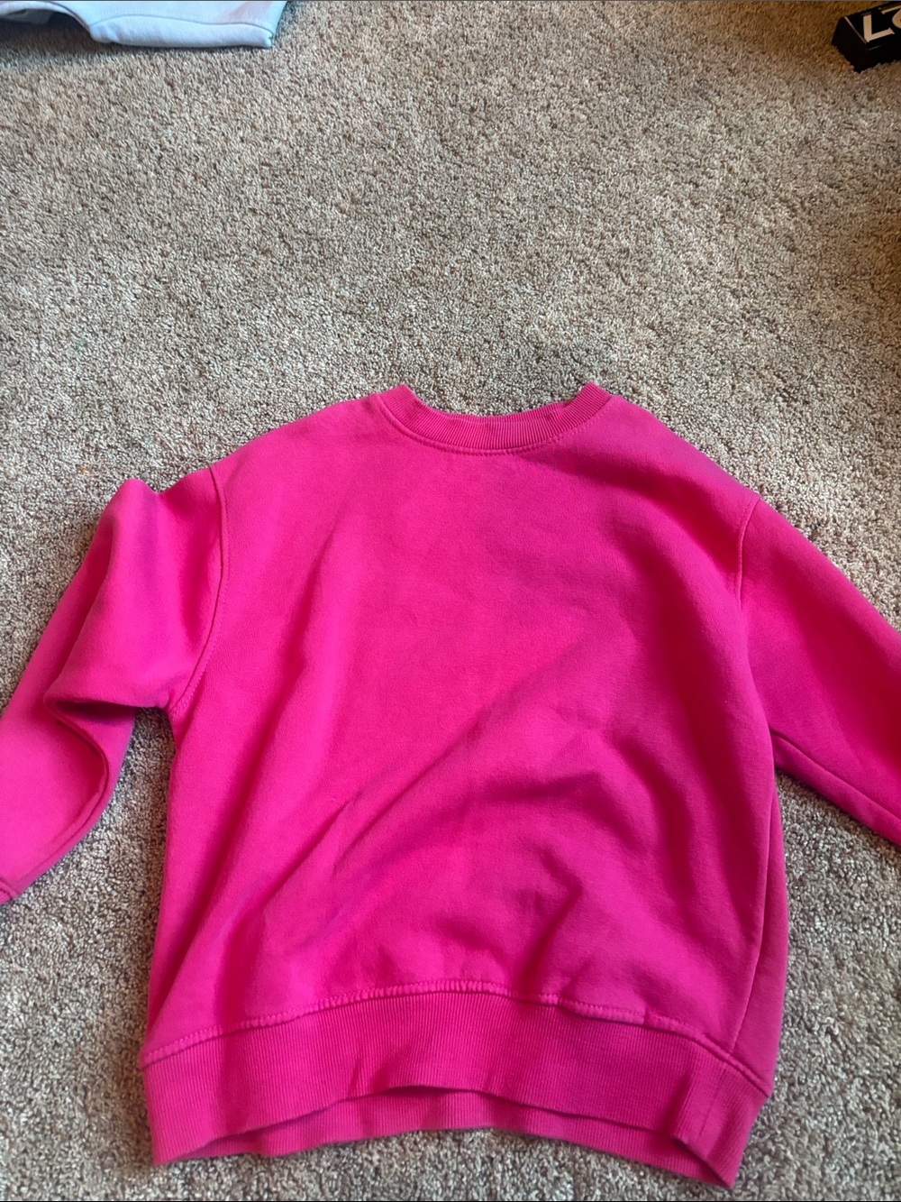Zara Kids Hor Pink Crewneck